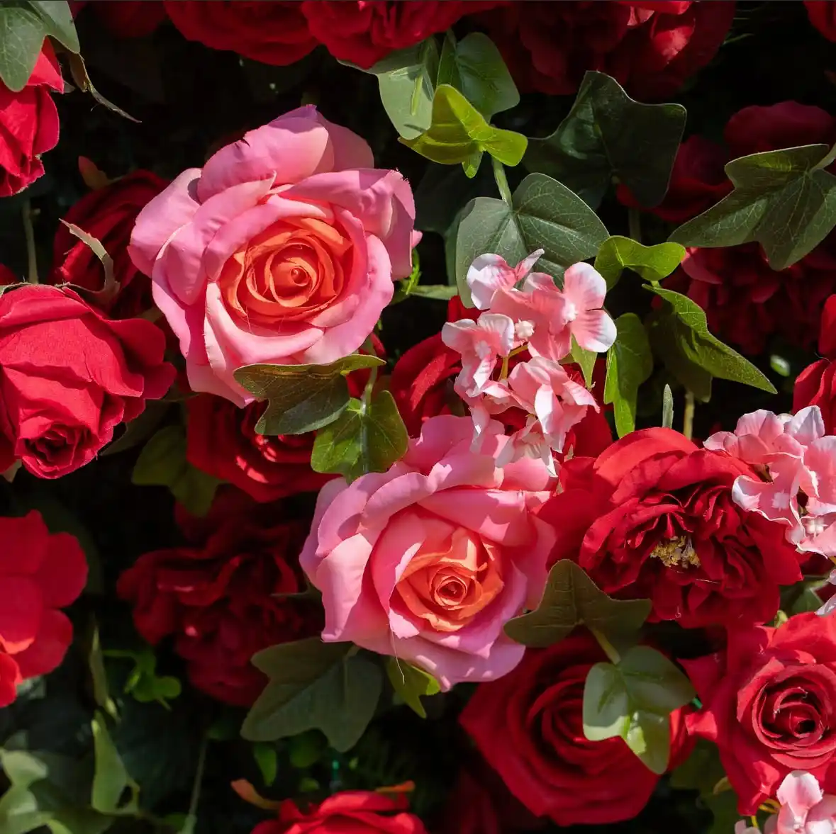 Afrodita Crveni - Cvetni zid — pogled 12