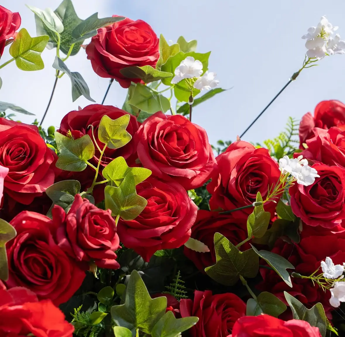 Afrodita Crveni - Cvetni zid — pogled 4