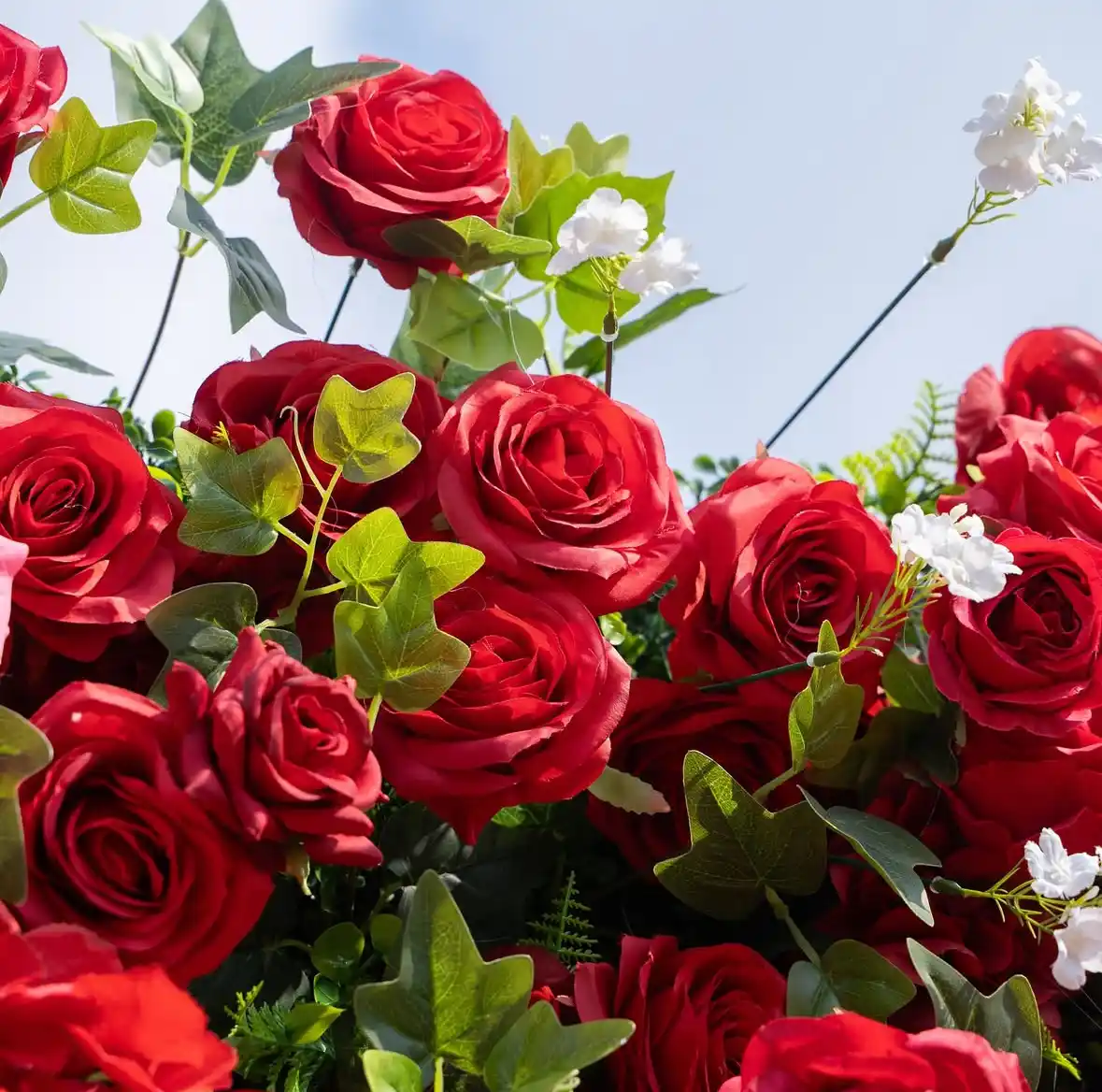 Afrodita Crveni - Cvetni zid — pogled 7