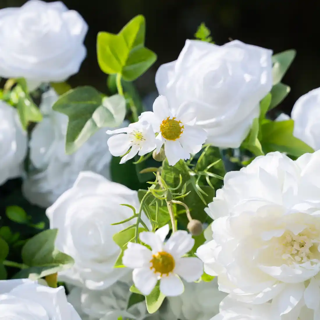 Aurora Belo - Zeleno Cvetni Zid — primer postavke