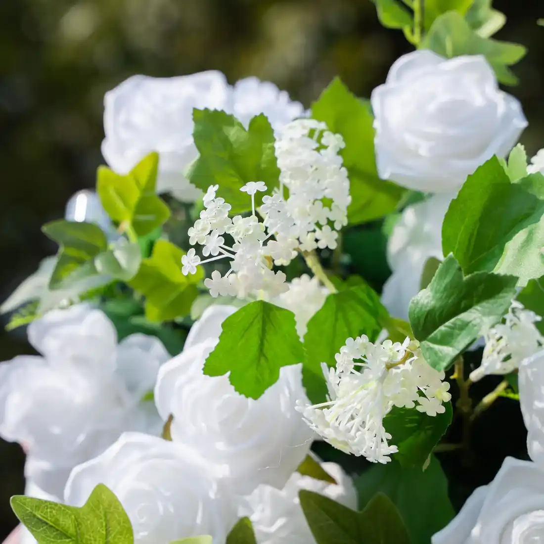 Aurora Belo - Zeleno Cvetni Zid — fokus na volumenu