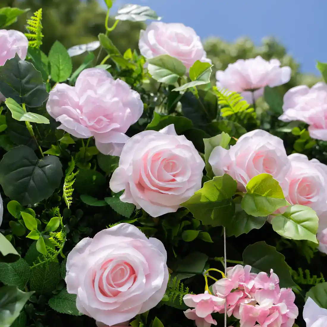 Flora Roze - Cvetni zid — frontalni prikaz