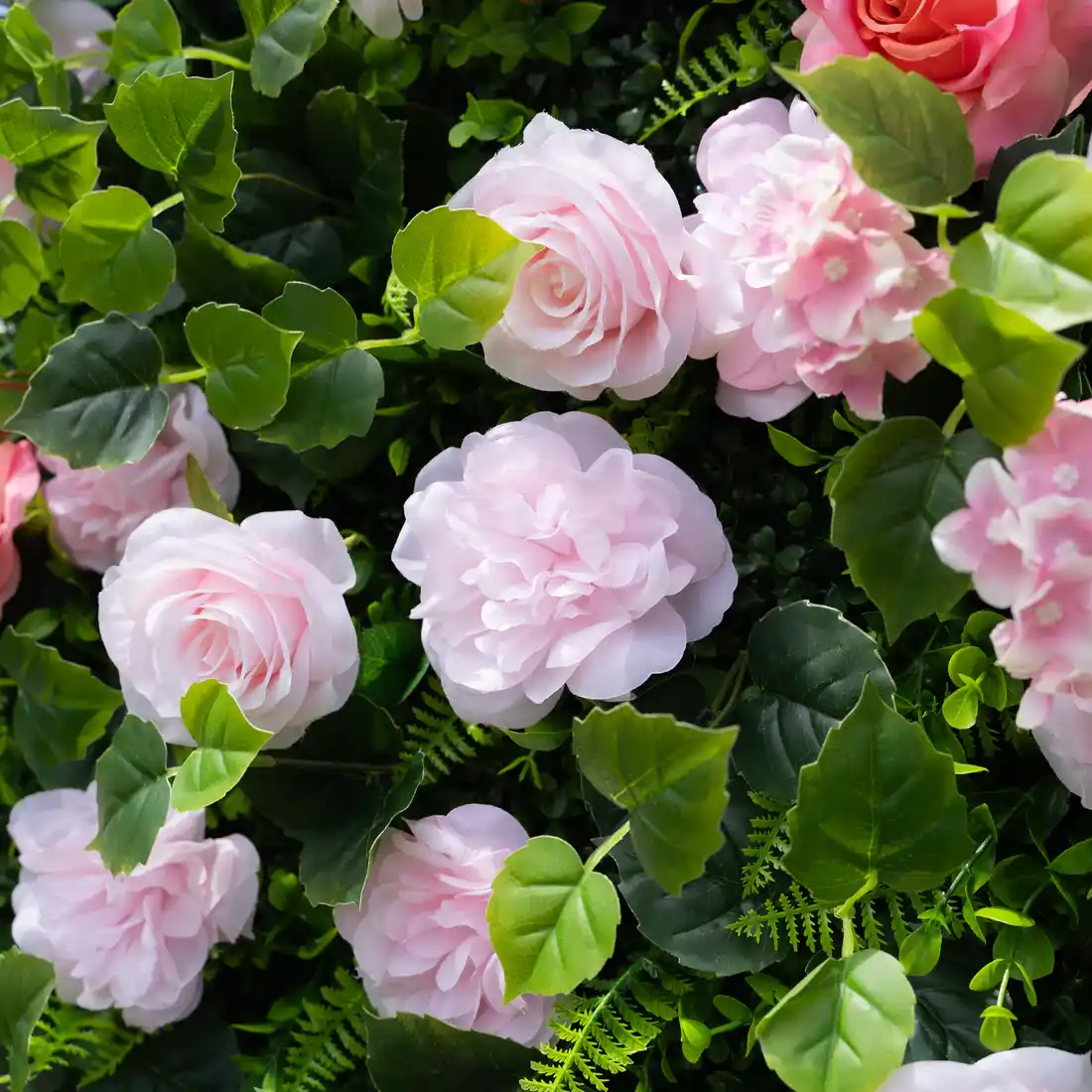 Flora Roze - Cvetni zid — primer osvetljenja