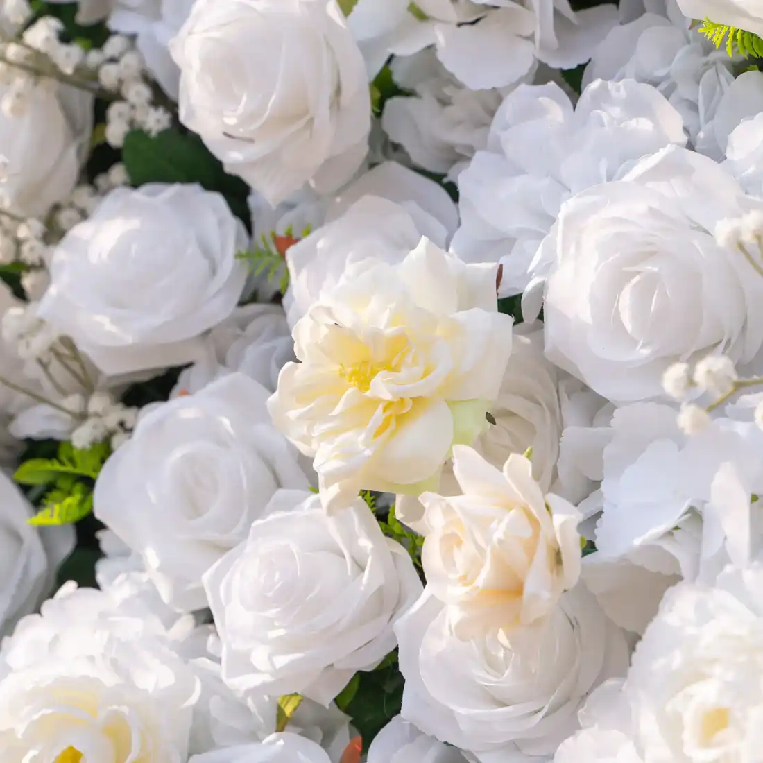 Hera Beli - Cvetni zid — bogat volumen